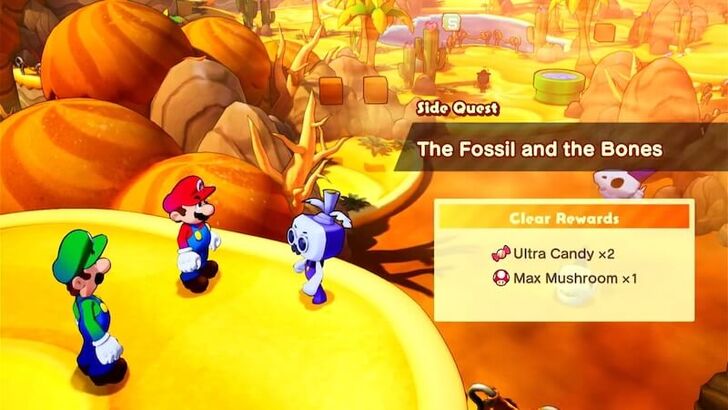 The Fossil and the Bones