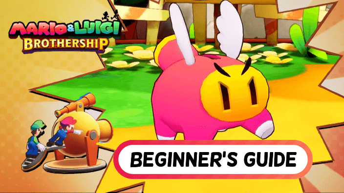 Brothership Beginner