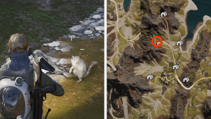 Once Human All Riddle Spots -  Riddle Spot - Squirrel Riddle