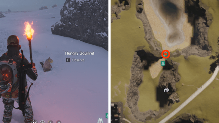 Once Human All Riddle Spots -  Riddle Spot - Squirrel Riddle