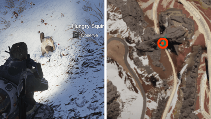 Once Human All Riddle Spots -  Riddle Spot - Squirrel Riddle