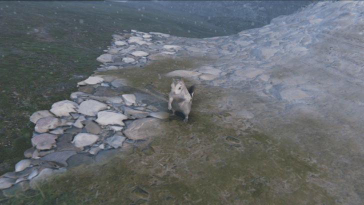 Once Human - Grizzly Reflex Sight Squirrel