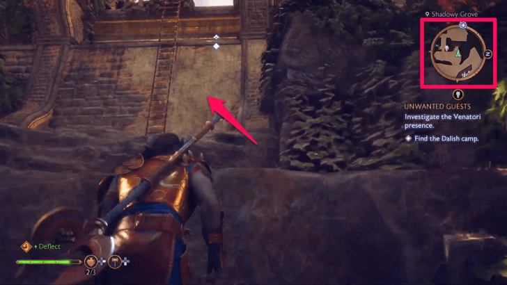 Ladder in Shadowy Grove