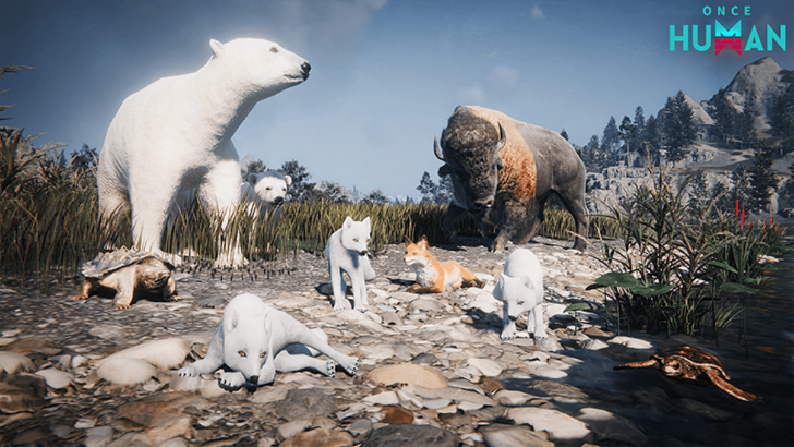 New Livestock Animals