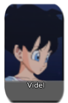 Videl Image