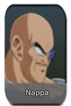 Nappa Image