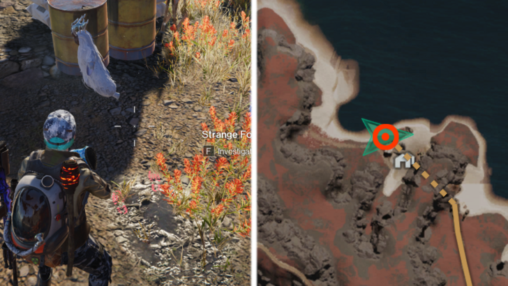 Once Human All Riddle Spots -  Riddle Spot - Strange Footprint