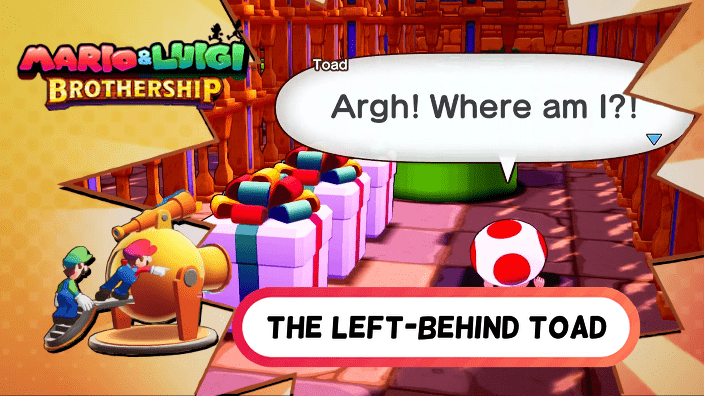 Mario & Luigi Brothership - The Left-Behind Toad