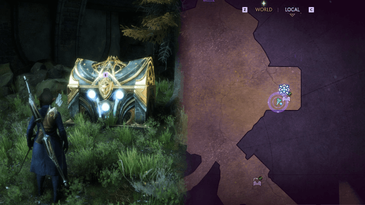 Dragon Age The Veilguard - Arlathan Forest Timelost Hoards