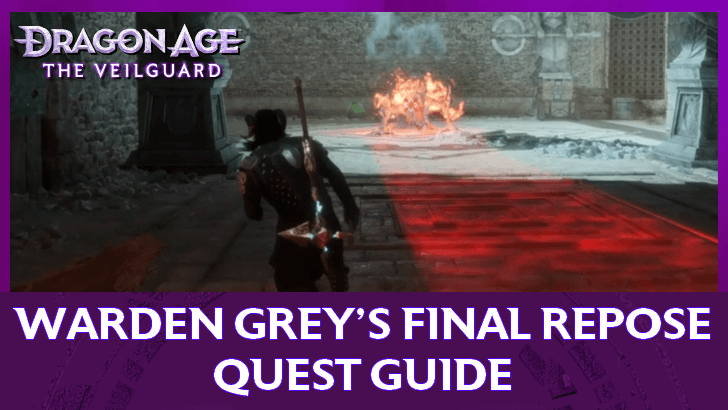 Dragon Age The Veilguard Warden Grey