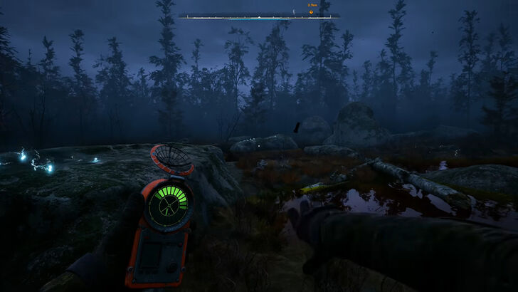 Bear Detector Anomaly Field