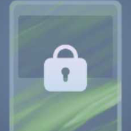 Pokemon TCG Pocket - Gale: Yellow-Green Cosmetic Flair