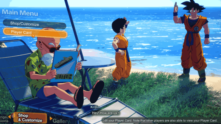 Collectibles - What Are Player Cards