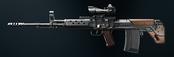 Tsarkov 7.62 Loadout