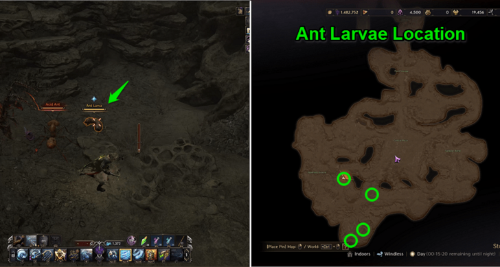 Throne and Liberty (TL) - Ant Larvae Location