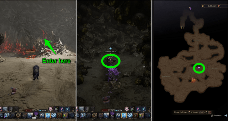 Throne and Liberty (TL) - Queen