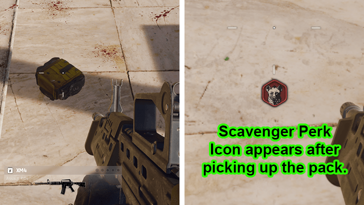 Scavenger Perk Ammo Pack