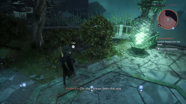 Arrangements - Gather More Flowers