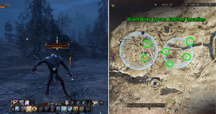 Throne and Liberty (TL) - Giant Gray Lycan Butcher