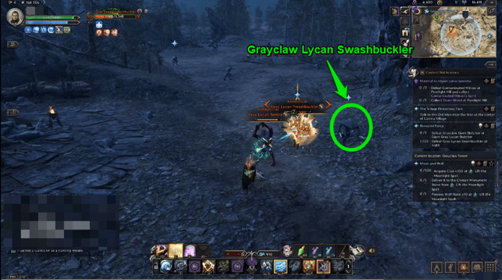 Throne and Liberty (TL) - Grayclaw Lycan Swashbuckler