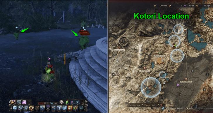 Throne and Liberty (TL) - Kotori Location