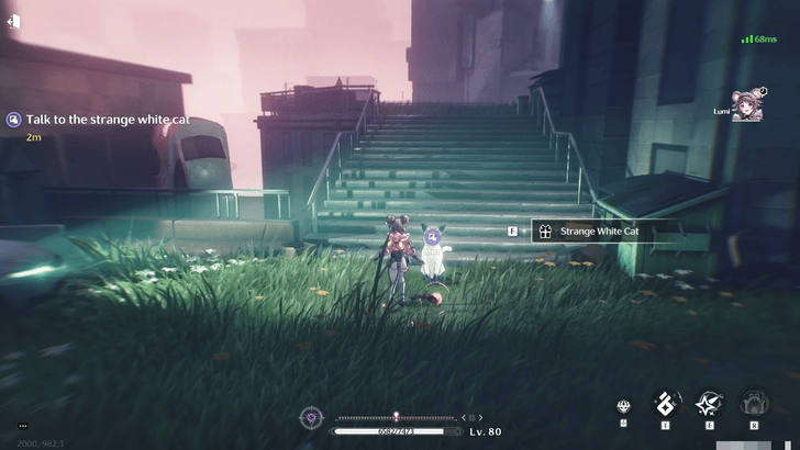 Against All Odds Dreamscape Odyssey Speak With the Strange White Cat