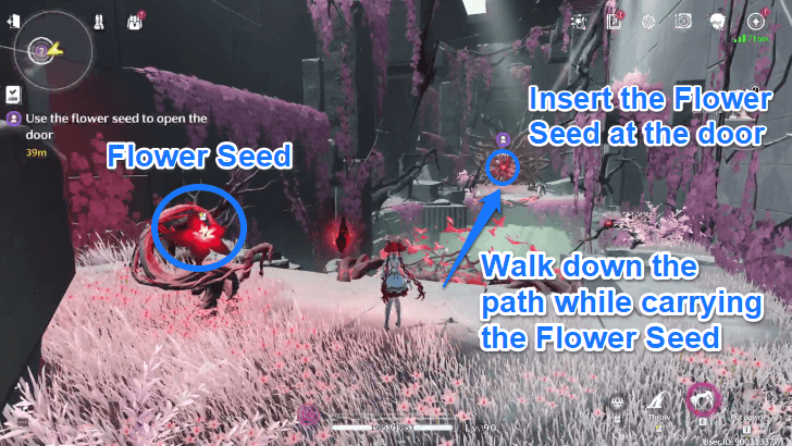 Flower Seed Puzzle Step 1