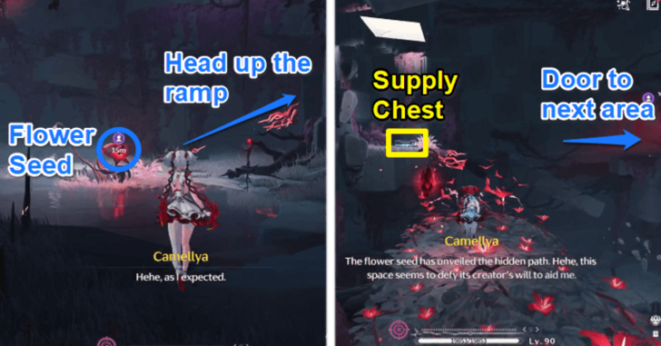 Flower Seed Puzzle Step 2