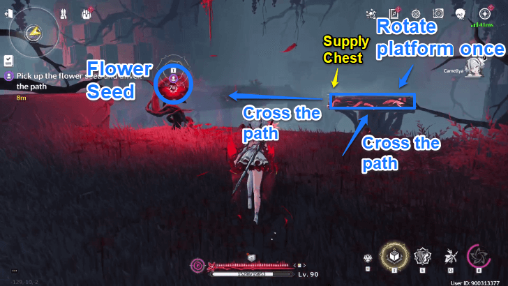 Flower Seed Puzzle Step 5