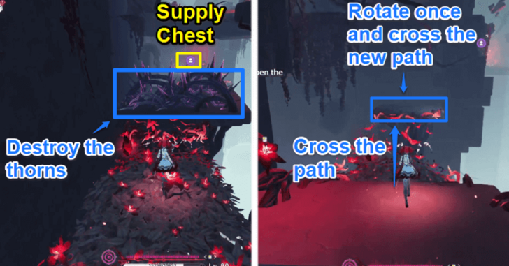 Flower Seed Puzzle Step 6