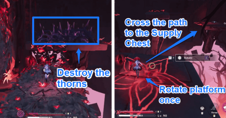 Flower Seed Puzzle Step 8