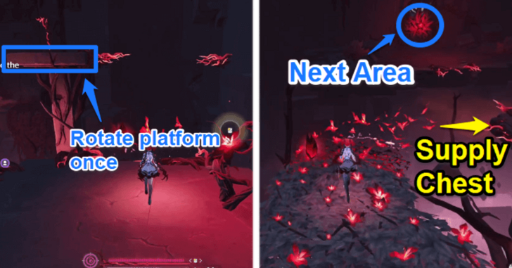 Flower Seed Puzzle Step 9