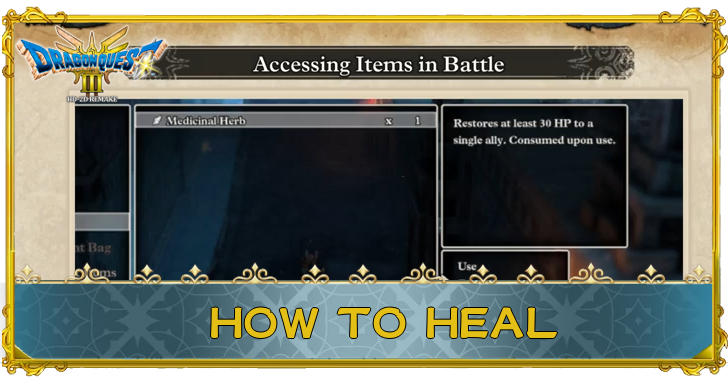 Dragon Quest 3 - How to Heal