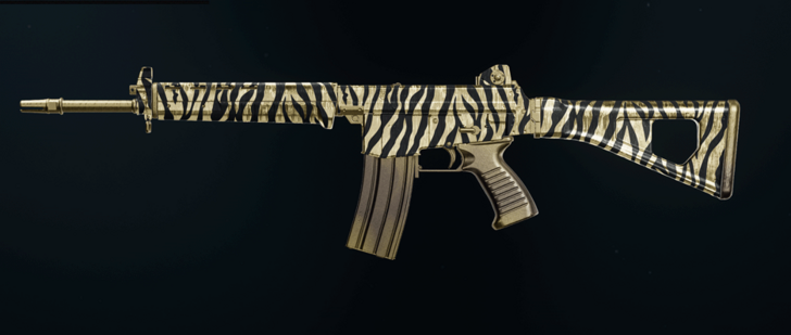 Black Ops 6 - Gold Tiger AMES 85 Camo