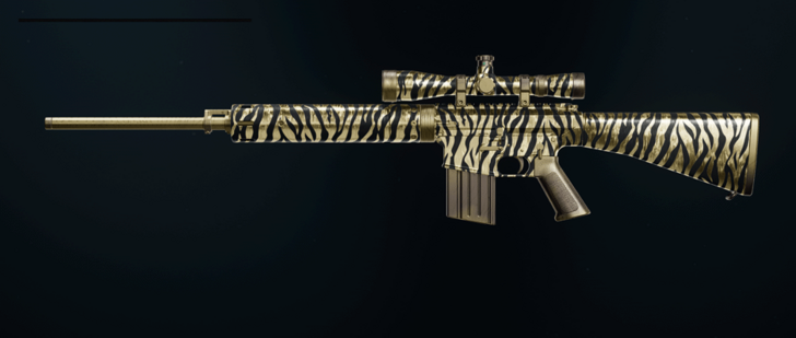 Black Ops 6 - Gold Tiger DM-10 Camo