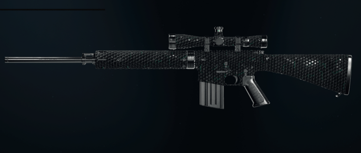Black Ops 6 - Catalyst DM-10 Camo