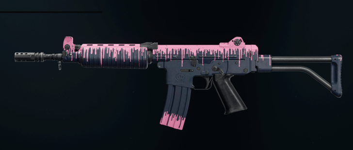 Black Ops 6 - Berry Bliss Camo