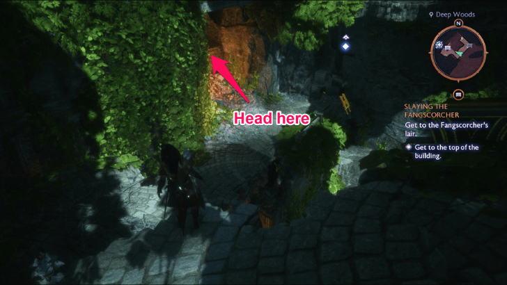 Slaying the Fangscorcher - Get to the Top of the Building