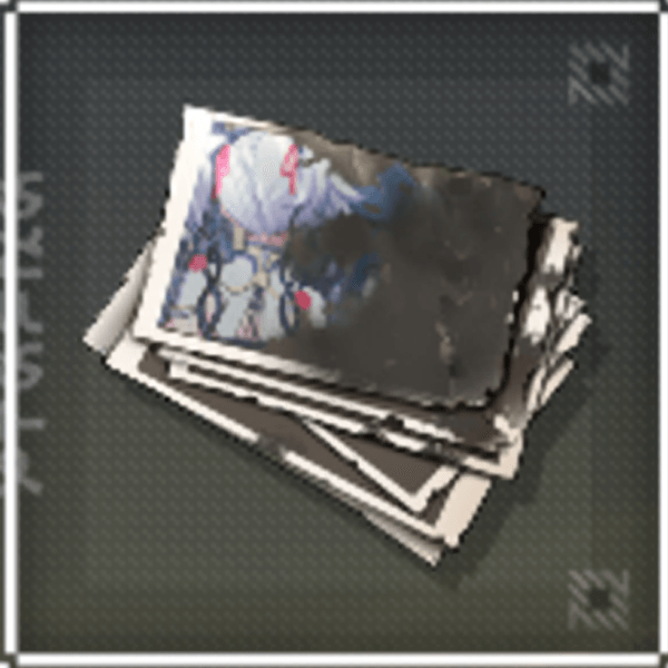 Wuthering Waves - Tattered Photos