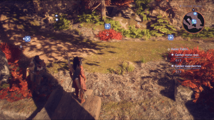 A Friend in Need - Gather Vanerberries