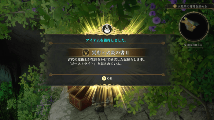 Book of the Dark and Fire II