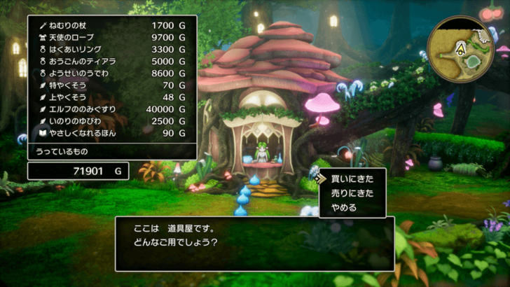 Dragon Quest 3 - All Missables and Points of No Return Faerie Village