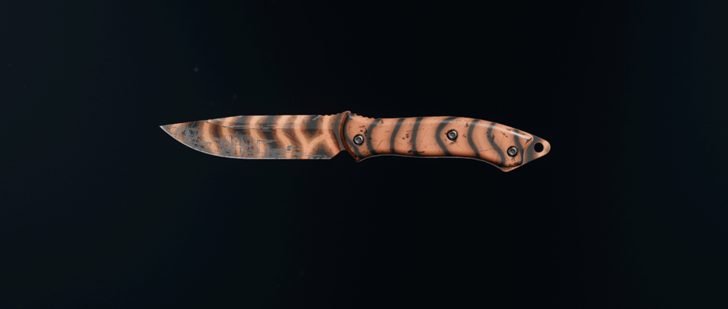 Black Ops 6 - Dying Ember Camo