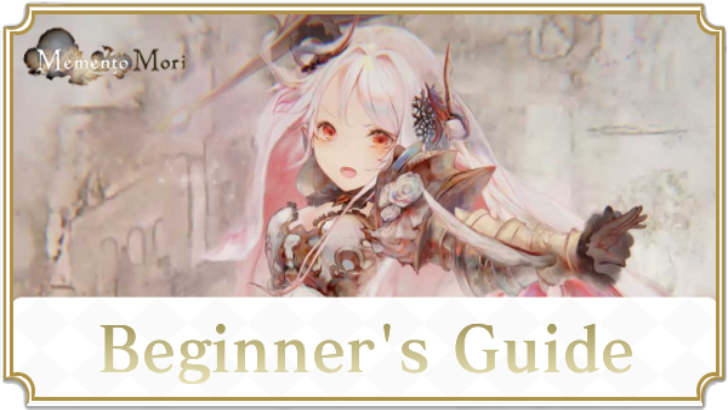 Beginner
