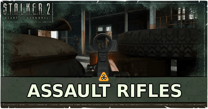 Stalker 2 - Assault Rifles