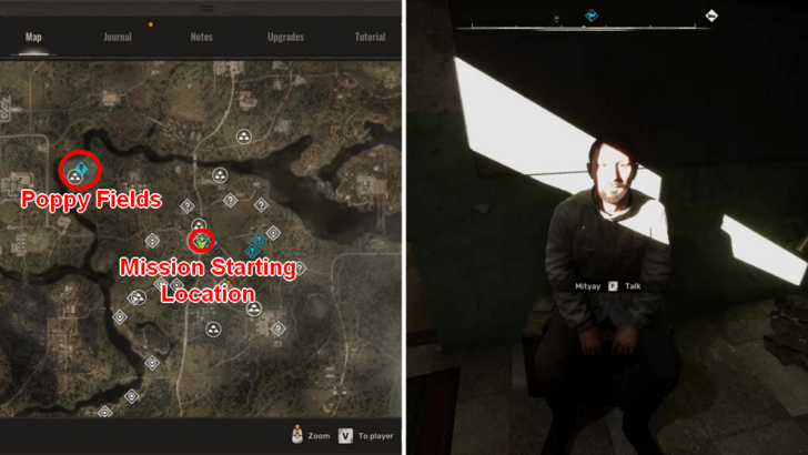 The Poppy Field Location