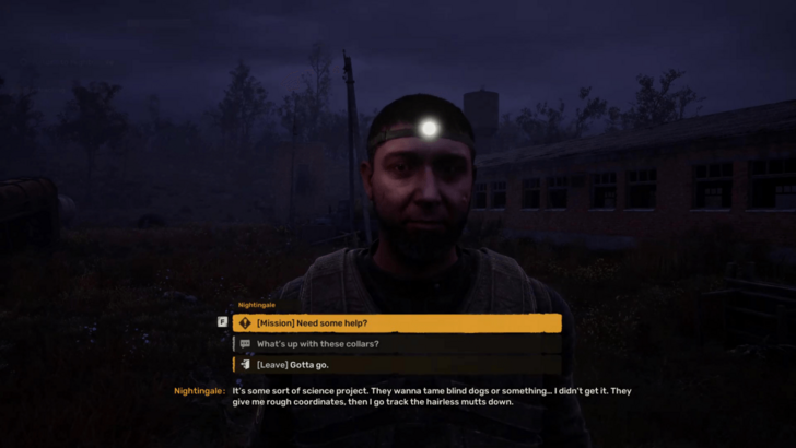 Return to Nightingale