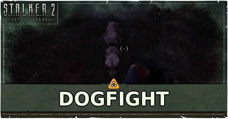 Stalker 2 Dogfight