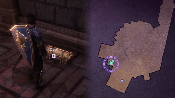 Dragon Age The Veilguard - Thalsian