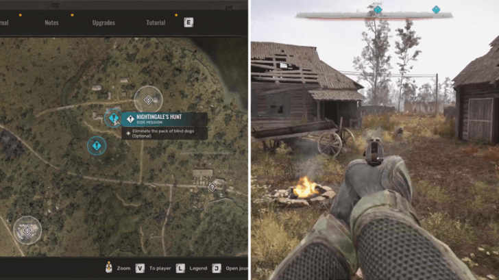 Dogs in Old Mill.png